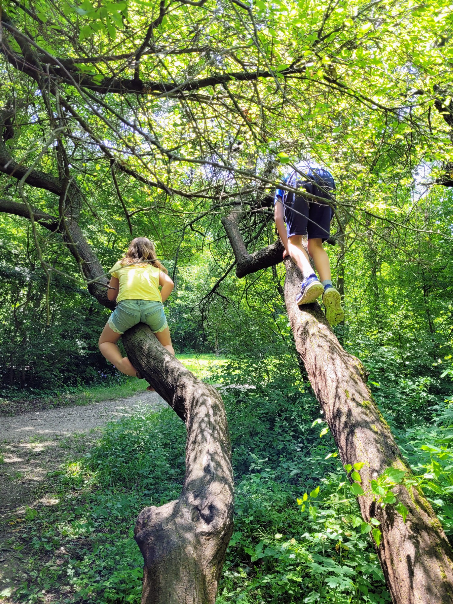 Kinder Libo Montessorischule